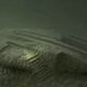 Illustration for article titled 9 Amazing Discoveries At The Bottom Of The Ocean I Would Like Back Now, Please